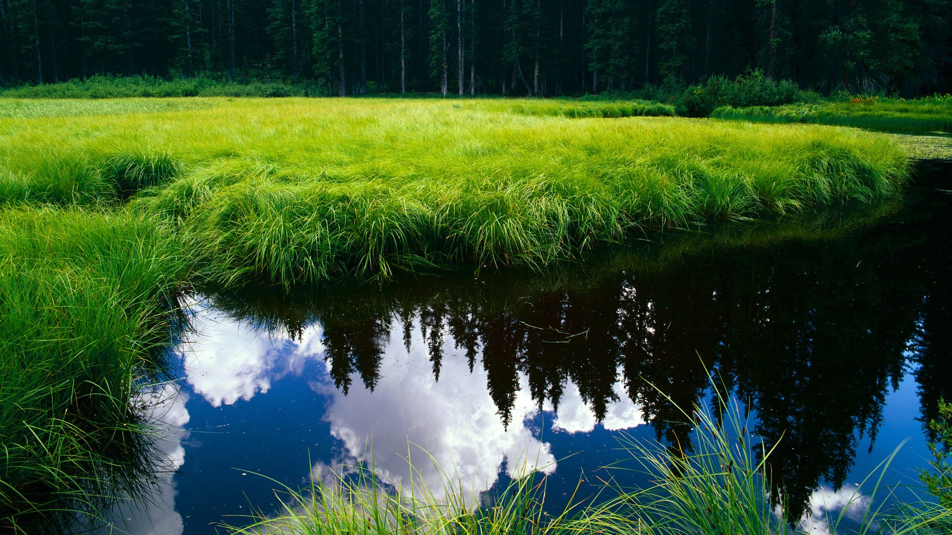 爱游戏体育入口-德甲球队采用AI模型识别对手防线漏洞战术研究，德甲球队采用ai模型识别对手防线漏洞战术研究进行分析