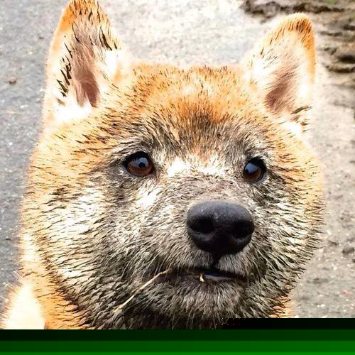 爱游戏app注册-英超青训引入神经反馈训练提升注意力集中能力,英超训练基地