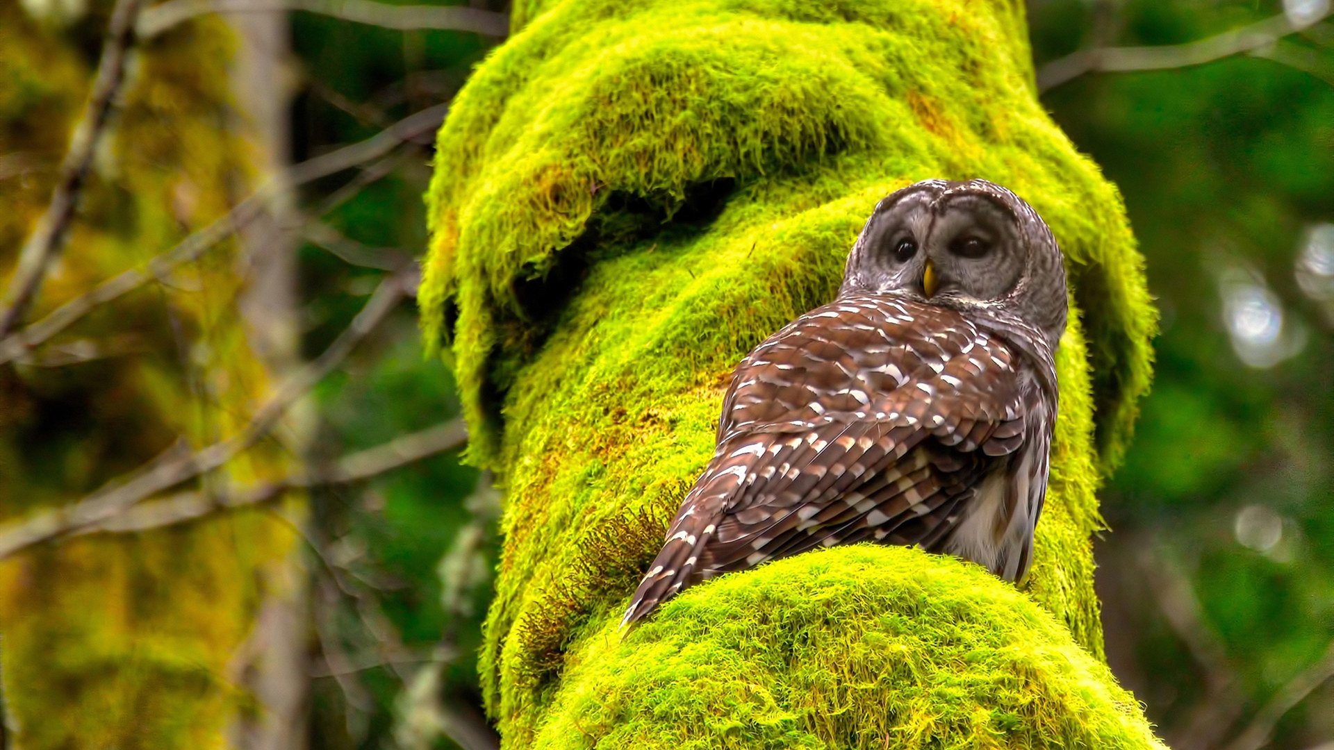 爱游戏体育入口-弗赖堡进攻区域控制力增强压制对手，弗赖堡市