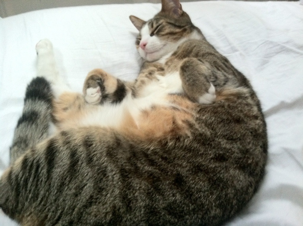 爱游戏体育下载-波鸿加快节奏制造破门良机，波鸿集团有限公司