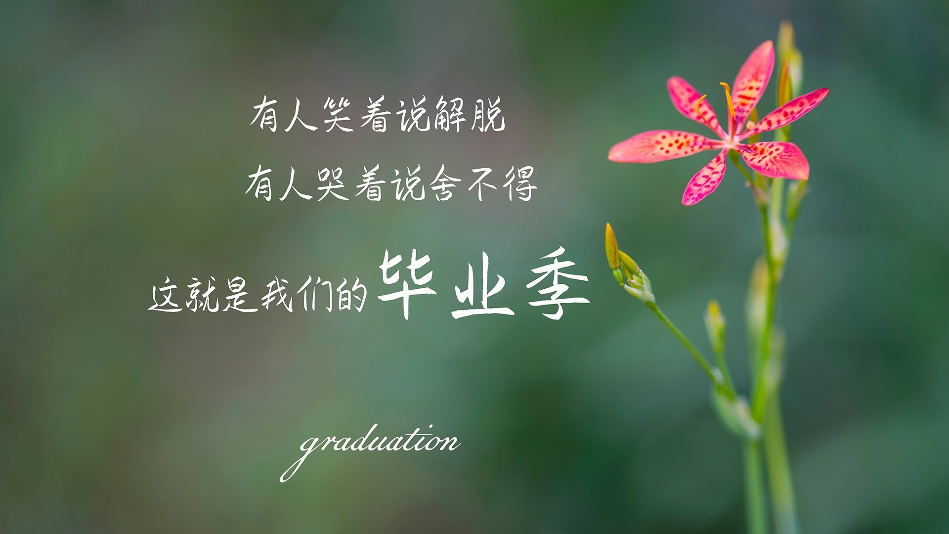 爱游戏app安装-直播平台引入多机位切换自动推荐模式，直播推荐位什么意思