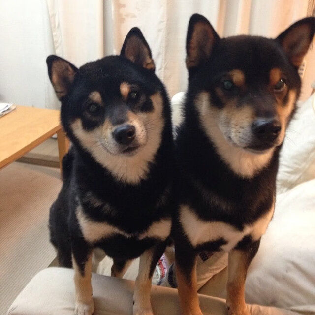 爱游戏入口-节奏掌控是否是球队领袖的必备能力之一，节奏控制