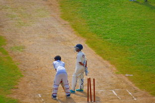 爱游戏app下载-勇士主帅称年轻球员正在快速成长,勇士队现任主教练